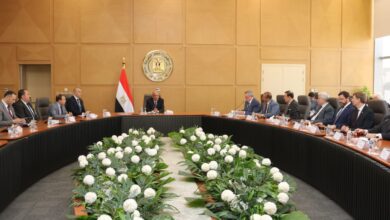 وزارة الكهرباء