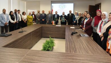 وزارة الكهرباء