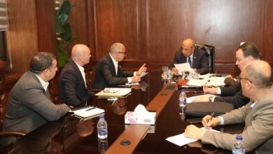 وزير الكهرباء