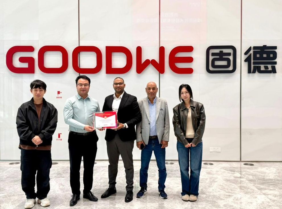 Eco Solutions وGoodWe الصينية