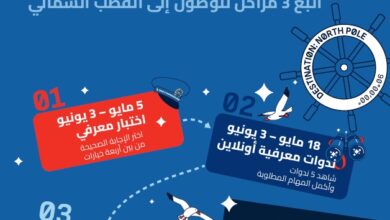 كاسحة الجليد