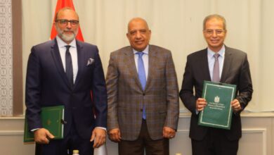 وزير الكهرباء
