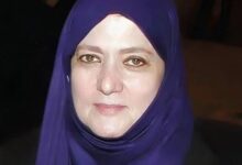 شمس البارودي