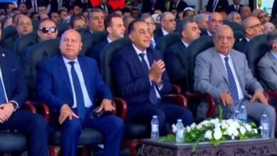 الضبعة النووية