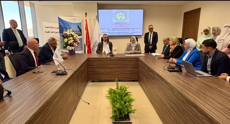 المصرية لنقل الكهرباء