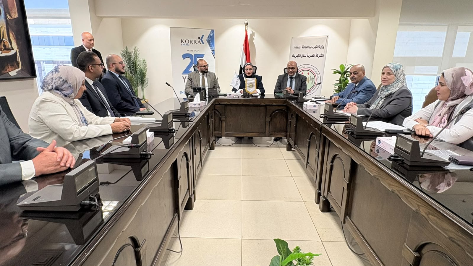 الشركة المصرية لنقل الكهرباء