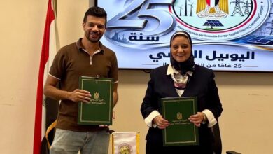 الشركة المصرية لنقل الكهرباء