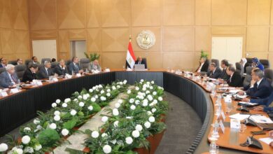 وزير الكهرباء والطاقة المتجددة
