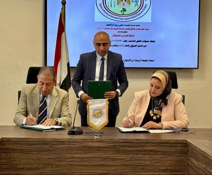 المصرية لنقل الكهرباء