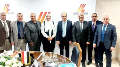 جنوب الدلتا للكهرباء