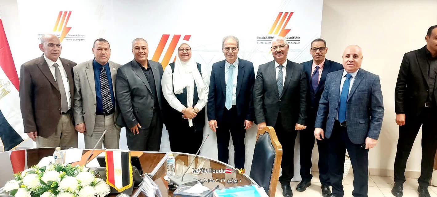 جنوب الدلتا للكهرباء