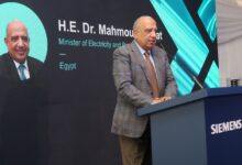 وزير الكهرباء والطاقة المتجددة