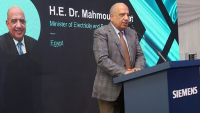 وزير الكهرباء والطاقة المتجددة