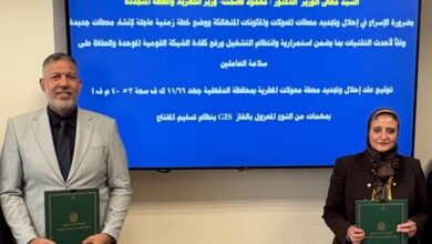 الشركة المصرية لنقل الكهرباء