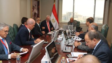 وزير الكهرباء والطاقة المتجددة