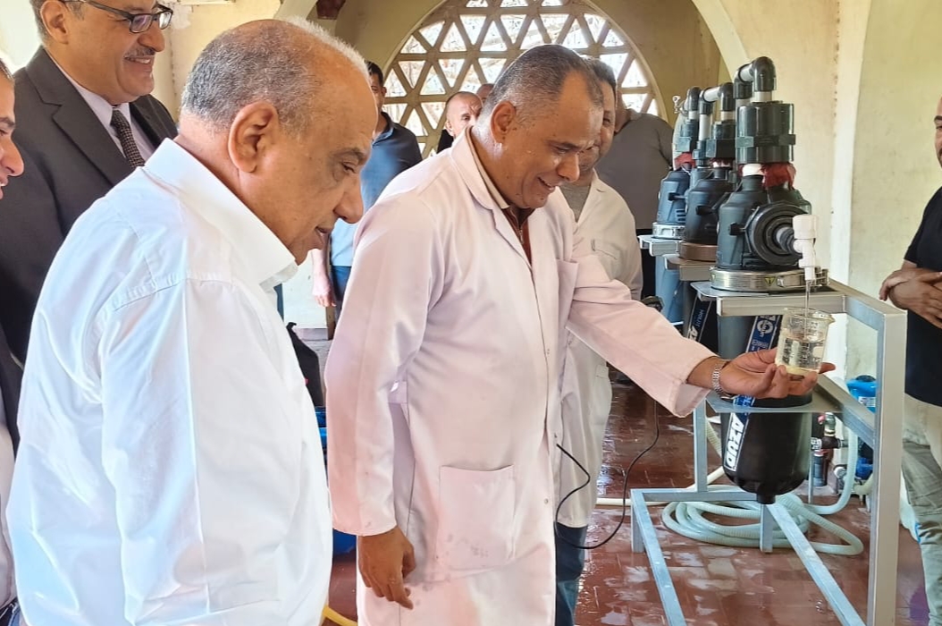 وزير الكهرباء والطاقة المتجددة