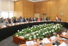 وزير الكهرباء والطاقة المتجددة