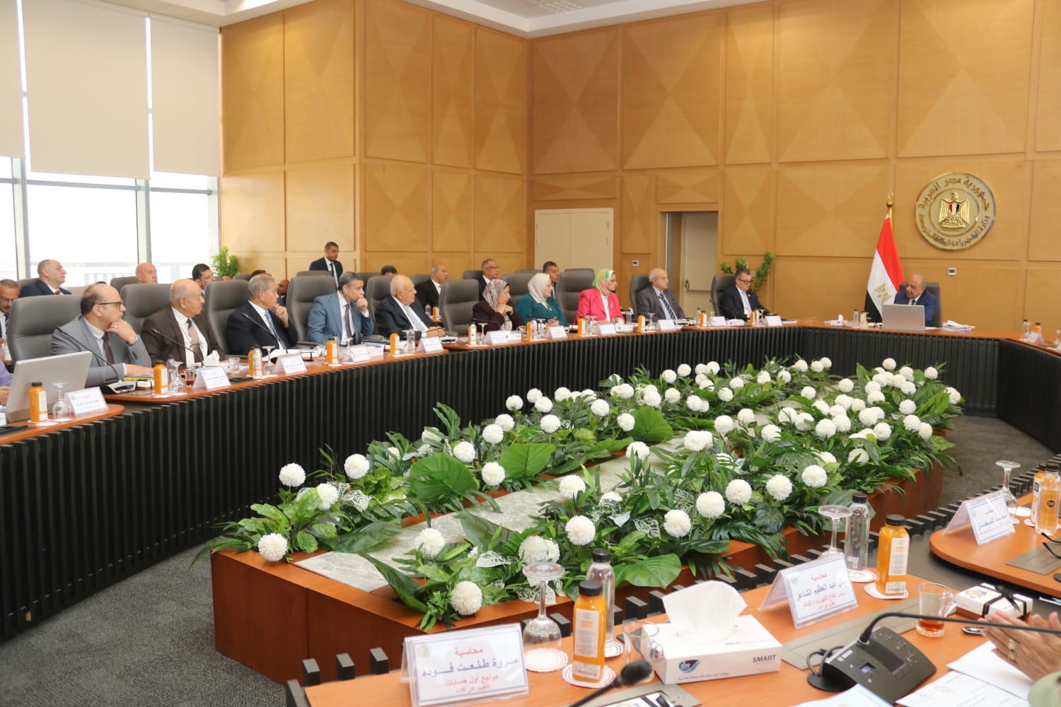 وزير الكهرباء والطاقة المتجددة