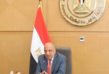 وزير الكهرباء