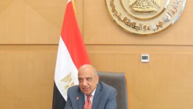 وزير الكهرباء