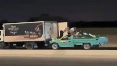 سرقة-القلج-في-القليوبية-1787816124-0