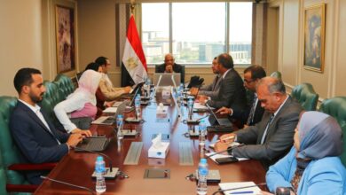 وزير الكهرباء والطاقة المتجددة