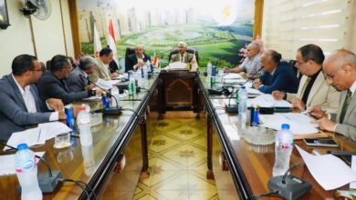 شركة جنوب الدلتا لتوزيع الكهرباء