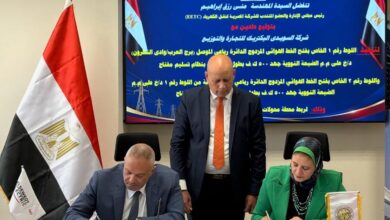 الشركة المصرية لنقل الكهرباء