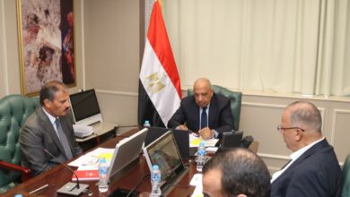 وزير الكهرباء والطاقة المتجددة