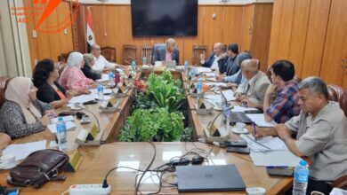 الإسكندرية لتوزيع الكهرباء