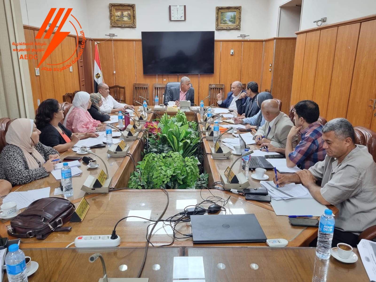 الإسكندرية لتوزيع الكهرباء