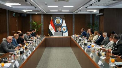وزير البترول والثروة المعدنية