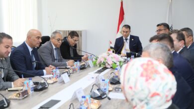 هيئة المحطات النووية