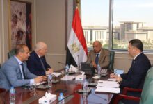 وزير الكهرباء والطاقة المتجددة