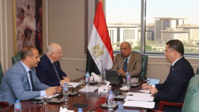 وزير الكهرباء والطاقة المتجددة