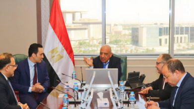 وزير الكهرباء والطاقة المتجددة