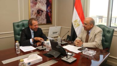 وزير الكهرباء والطاقة المتجددة